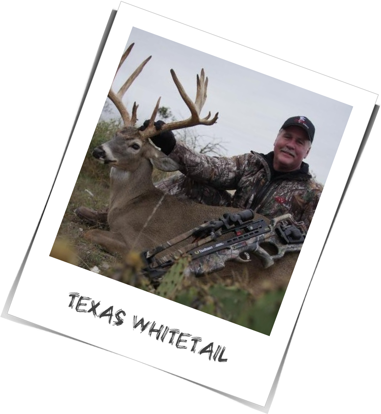 Doug Roberts - Texas Whitetail